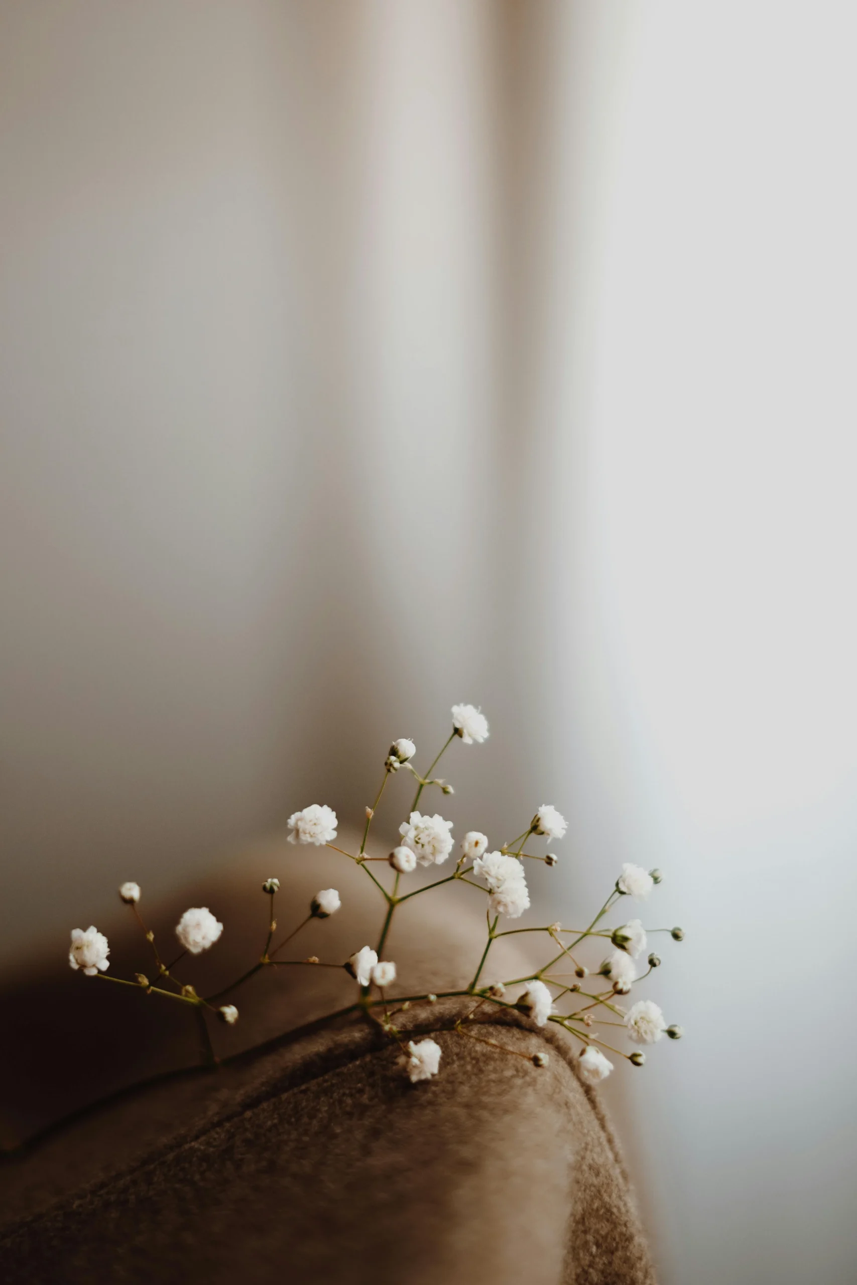 Un rêve qui prend forme